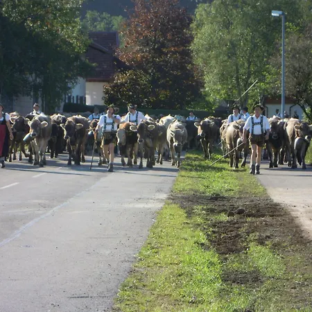 Allgaeufreund Wertach